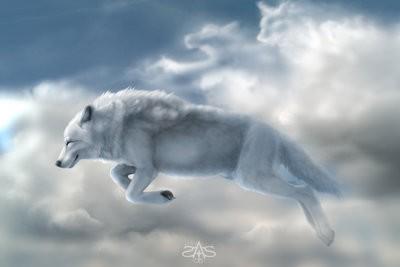 Un loup.